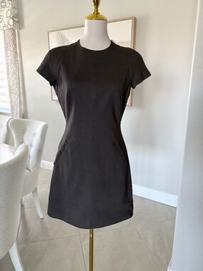 NWT Theory Dolman Short Sleeve Dress - Coffee Good Crunch